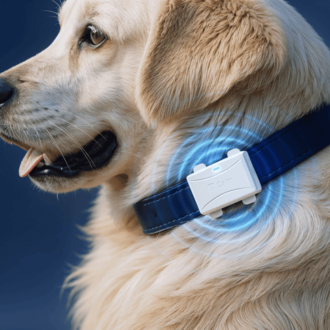 Helio Calm™ Calming Device for Dogs