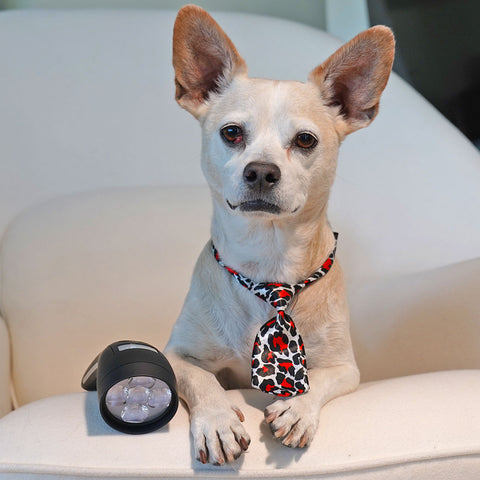 Low level Laser Therapy for Pets