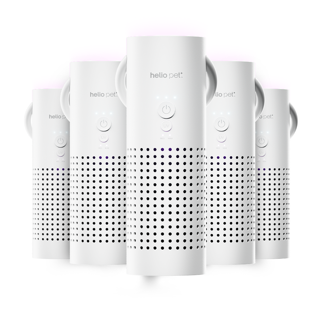 Air Filter Five-Pack