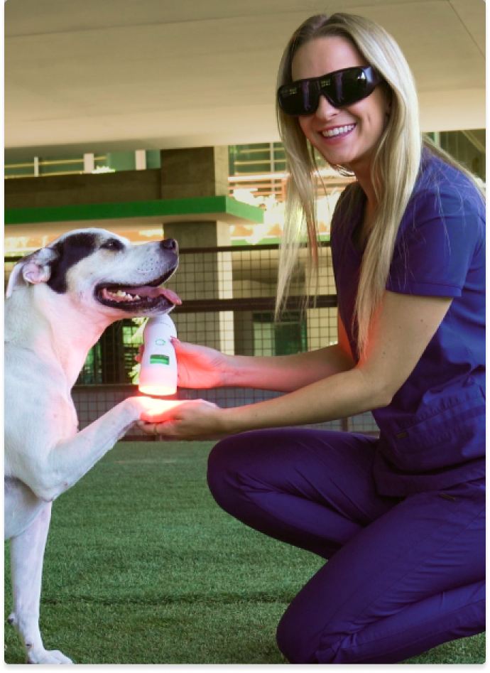 A closer look at Laser Feature On Pet Camera For Special Needs Pets