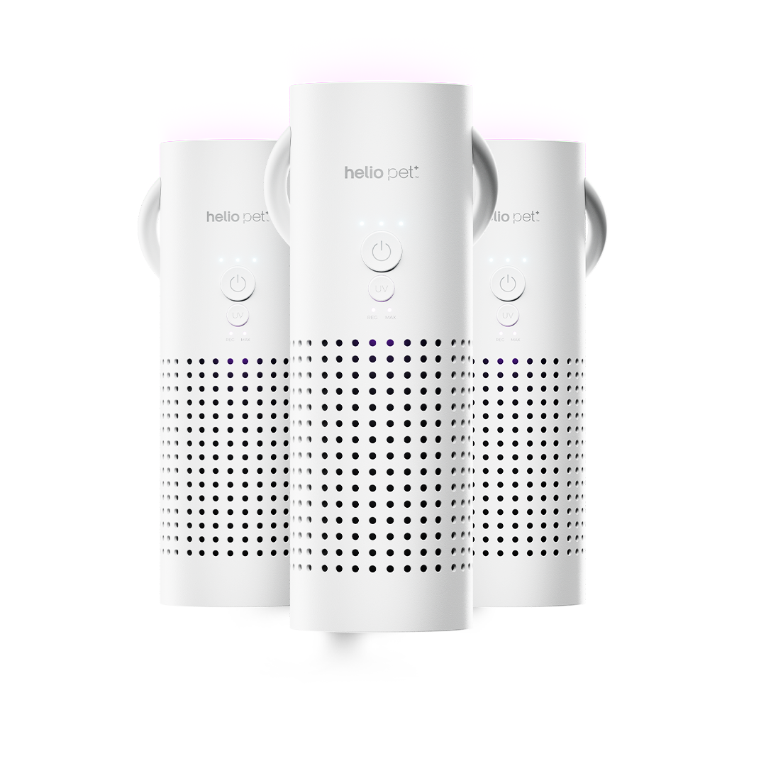 Air Filter Three-Pack