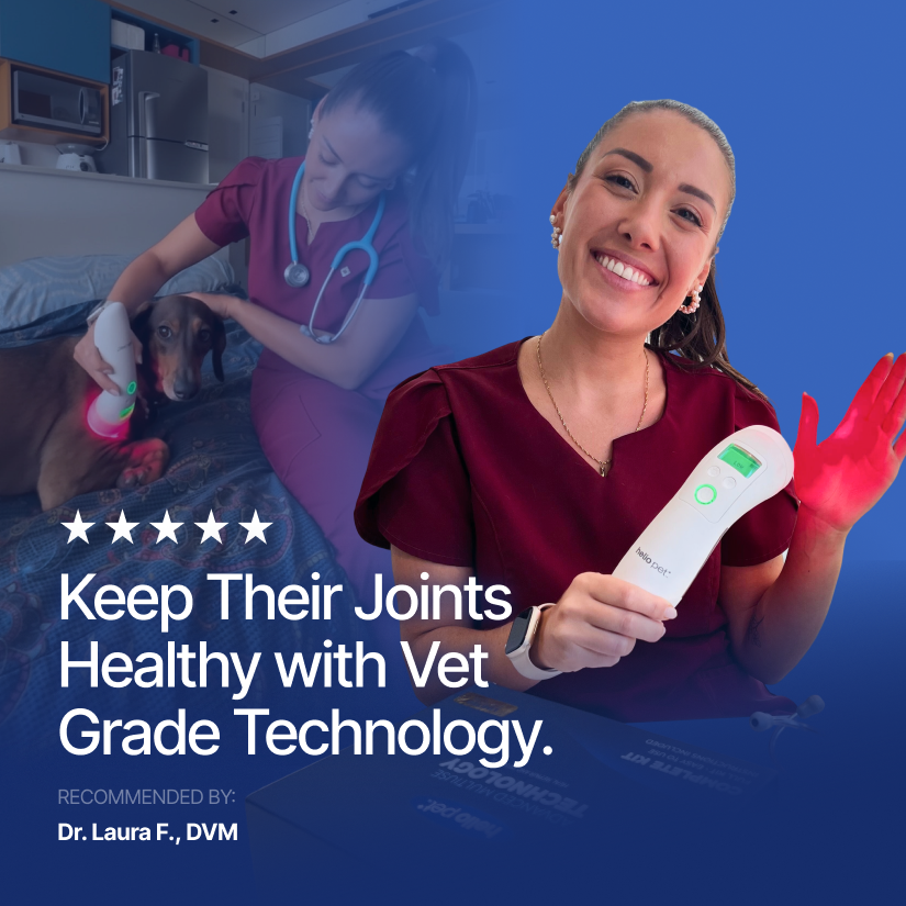 Cold Laser Therapy Device for Pets